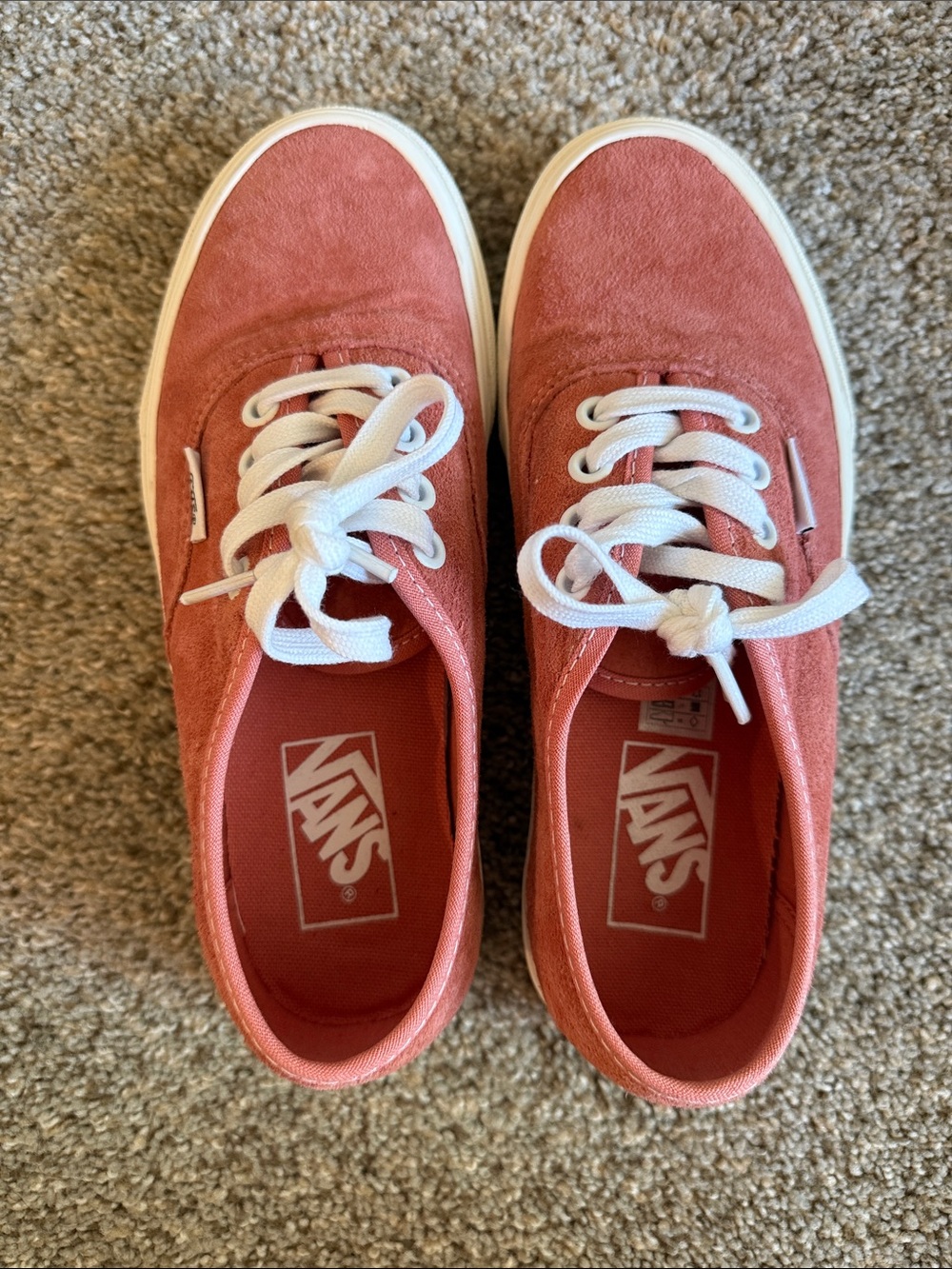 Vans Unisex Authentic Pig Suede in Terracotta